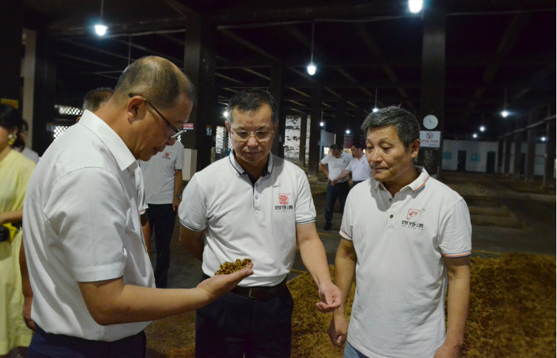 香港六台盒宝典资料大全玄机宝典